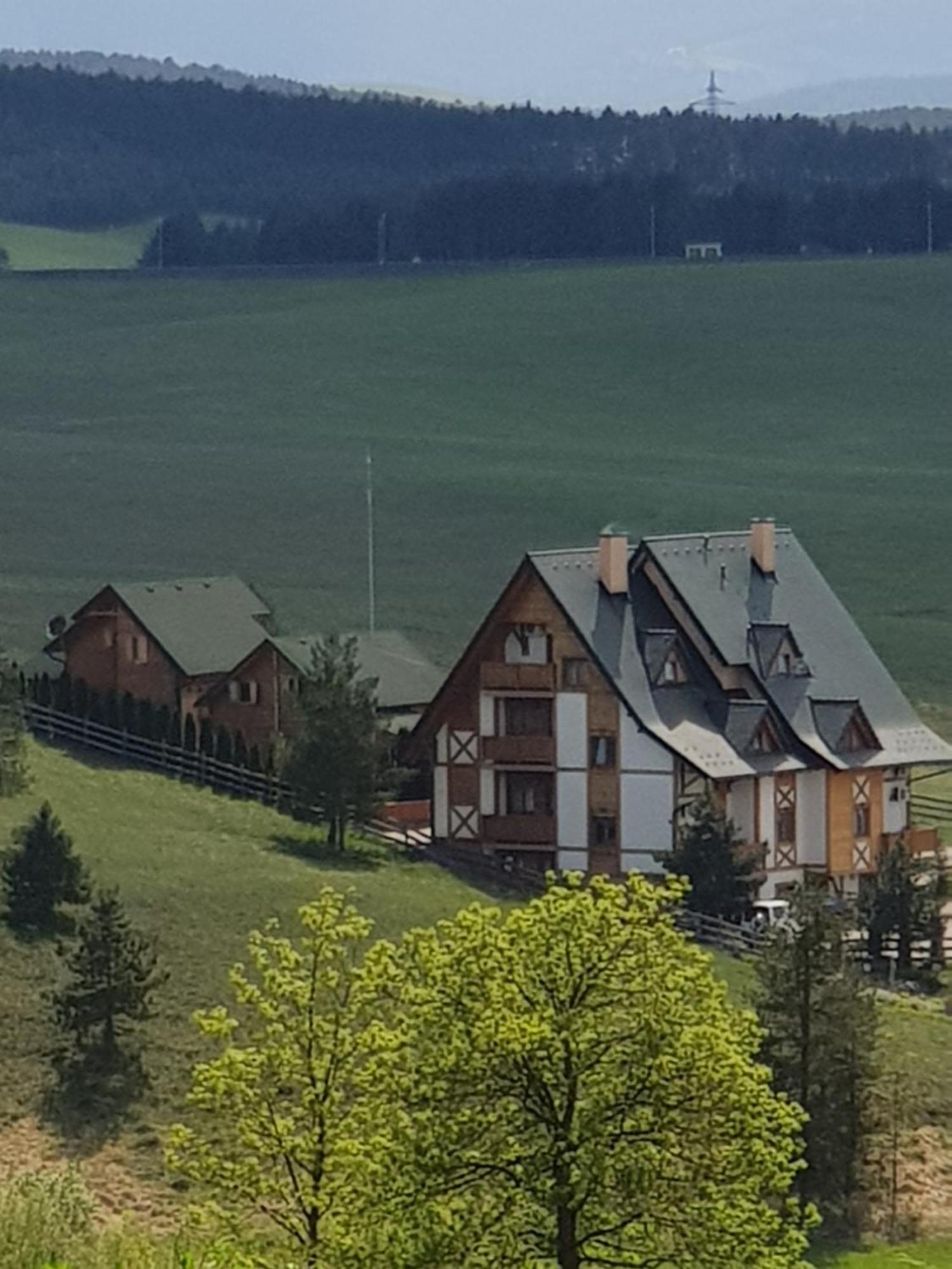 Brvnare Bor Villa Златибор Екстериор снимка